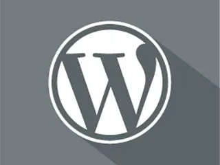 Wordpress CMS development